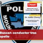 Buscan conductor tras atropello