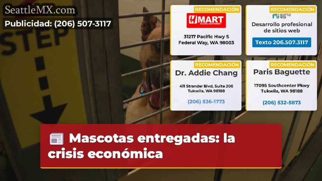 Mascotas entregadas: la crisis económica