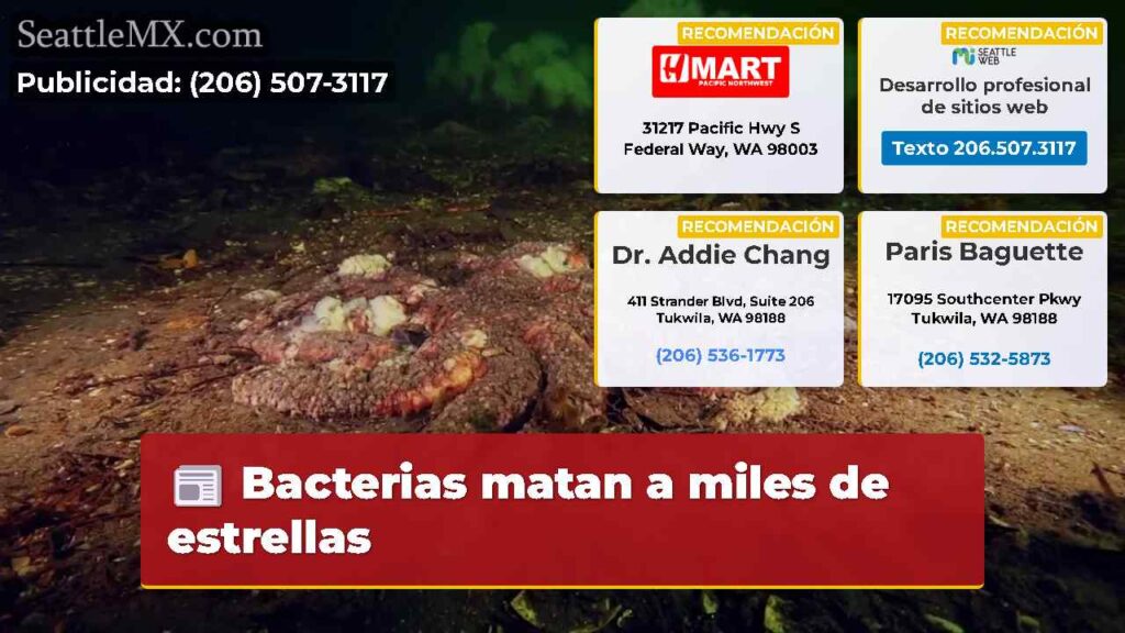 Bacterias matan a miles de estrellas