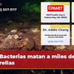 Bacterias matan a miles de estrellas