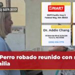 Perro robado reunido con su familia