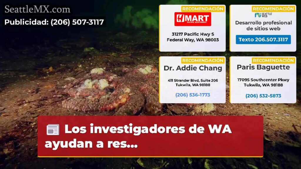 Los investigadores de WA ayudan a res...