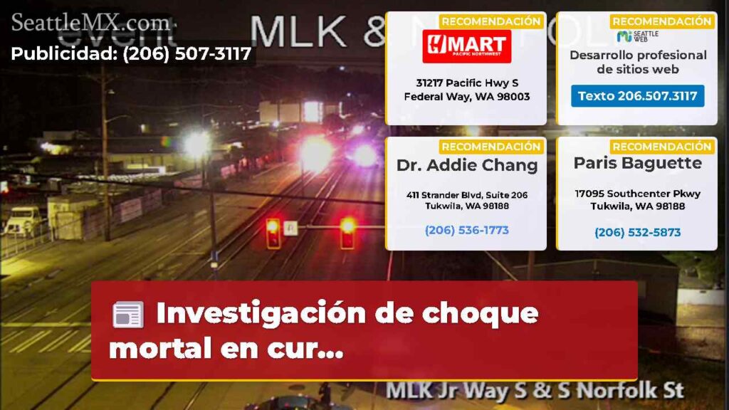 Investigación de choque mortal en cur...