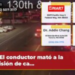 El conductor mató a la colisión de ca…