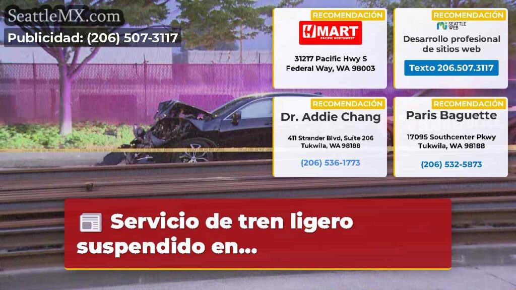 Servicio de tren ligero suspendido en...