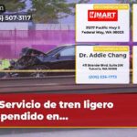 Servicio de tren ligero suspendido en…