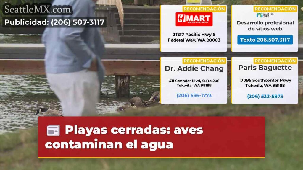 Playas cerradas: aves contaminan el agua
