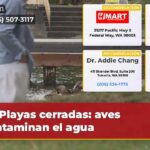 Playas cerradas aves contaminan el agua