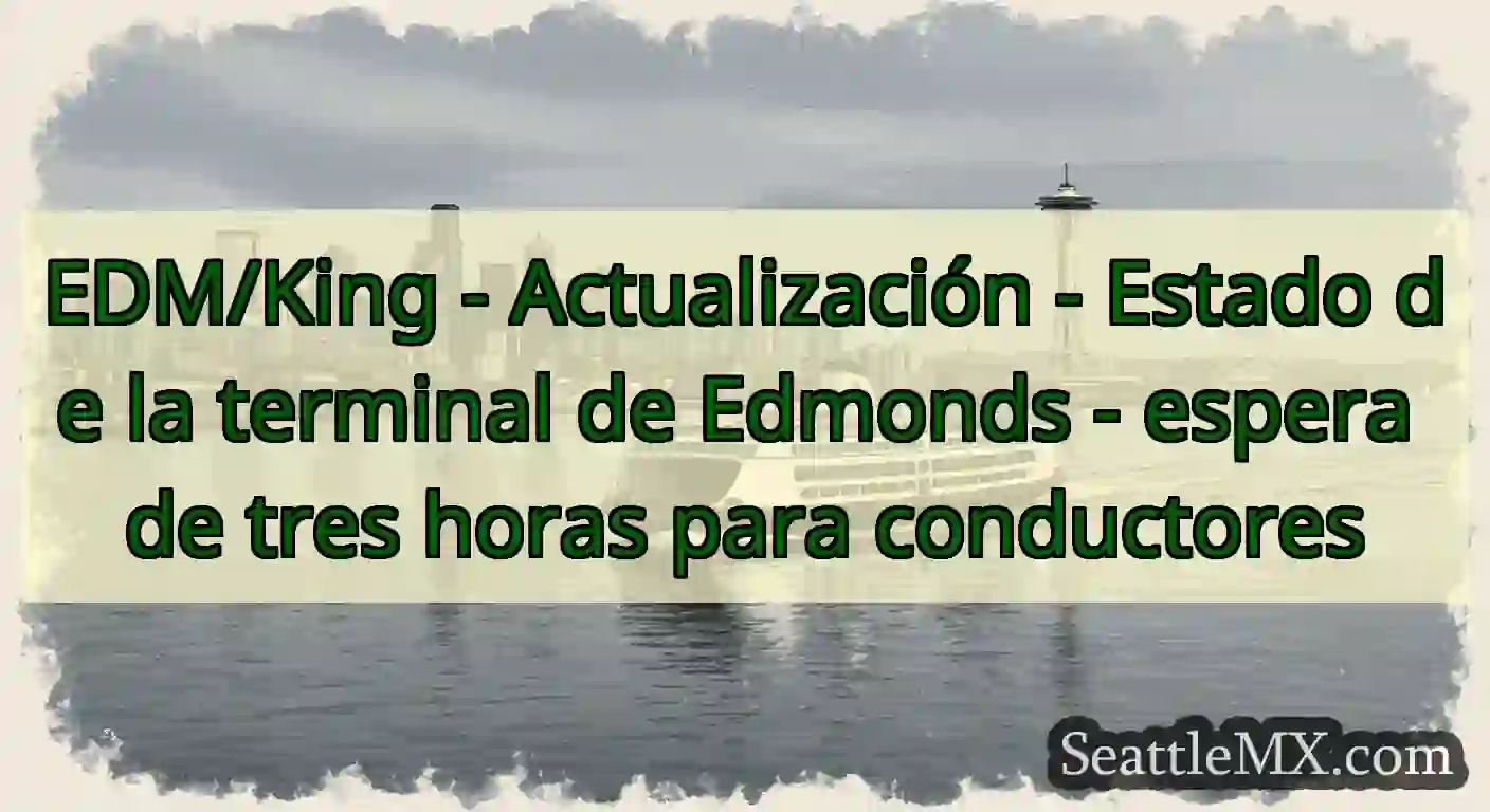 EDM/King - Actualización - Estado de la terminal