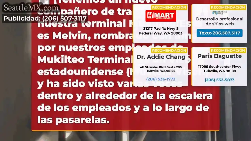¡Tenemos un nuevo compañero de trabajo en nuestra