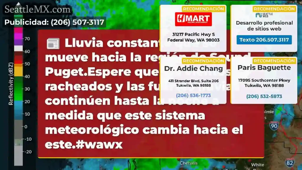 Lluvia constante que se mueve hacia la región de