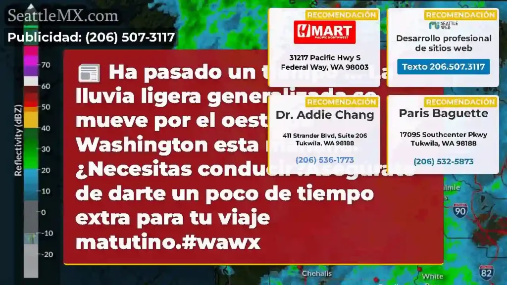 Ha pasado un tiempo ... La lluvia ligera