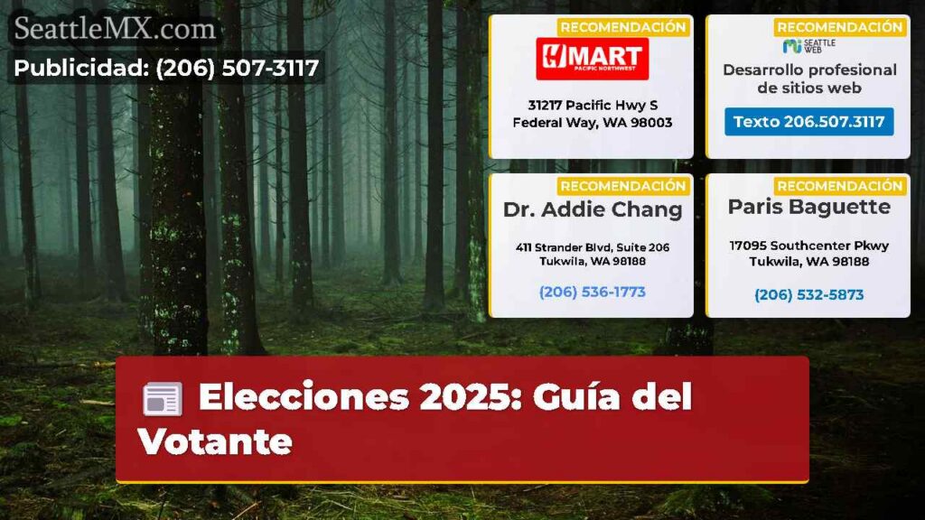 Elecciones 2025: Guía del Votante