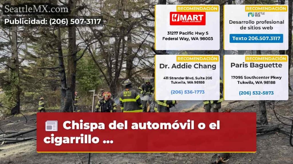 Chispa del automóvil o el cigarrillo ...