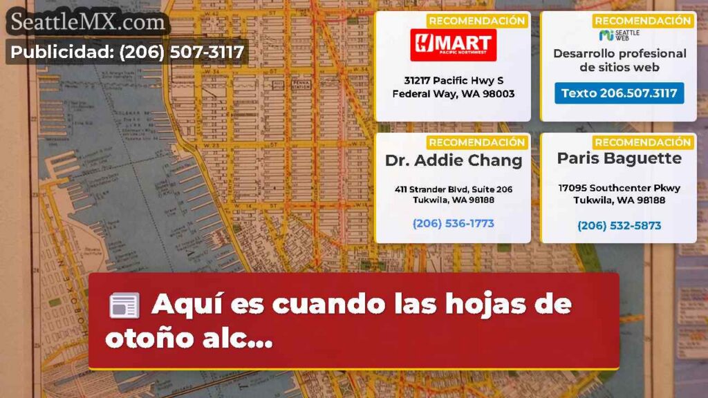 Aquí es cuando las hojas de otoño alc...