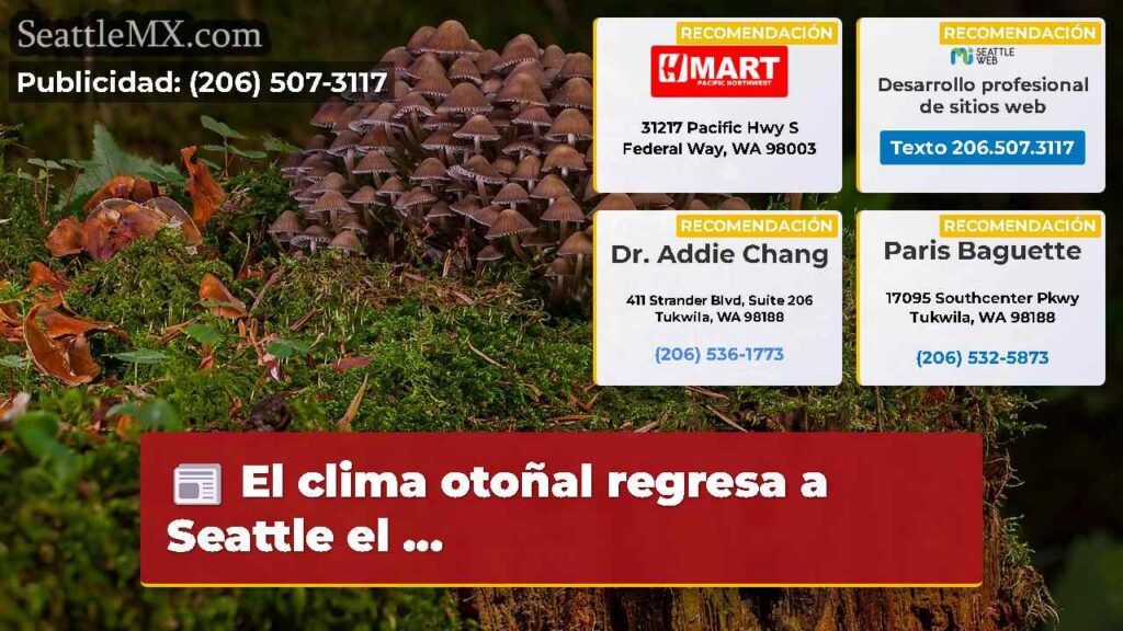 El clima otoñal regresa a Seattle el ...