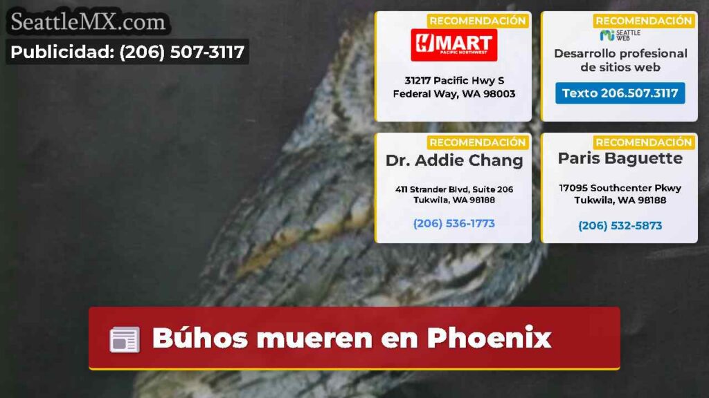 Noticias De Seattle 3 Búhos mueren en Phoenix