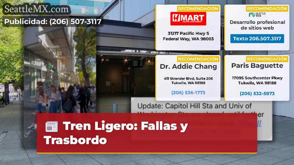 Tren Ligero: Fallas y Trasbordo