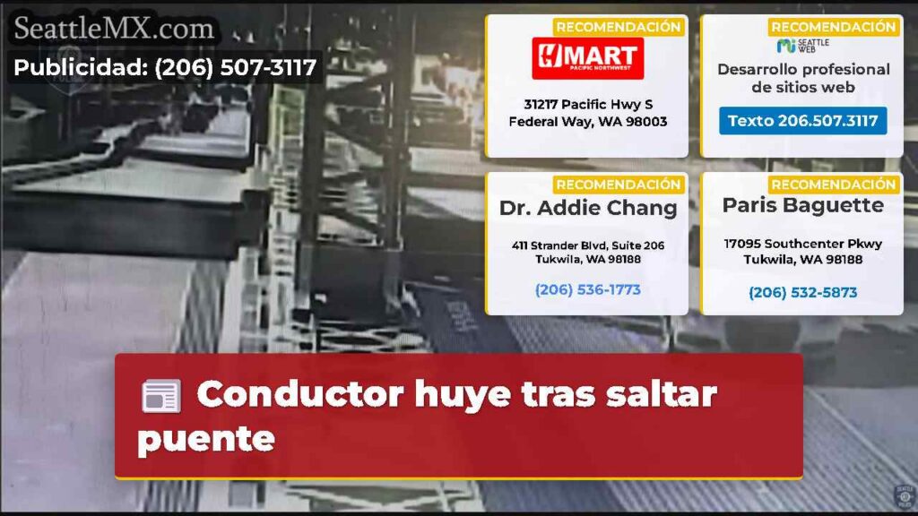 Conductor huye tras saltar puente