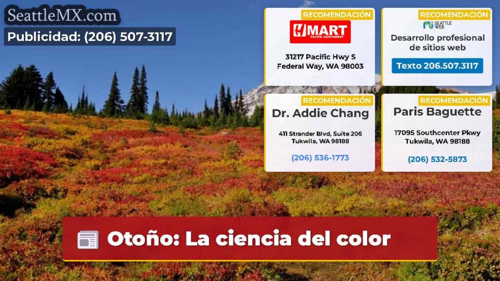 Noticias De Seattle 5 Otoño: La ciencia del color