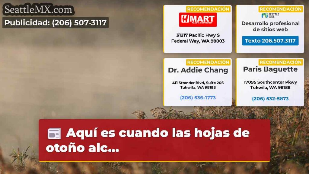 Noticias De Seattle 5 Aquí es cuando las hojas de otoño alc...