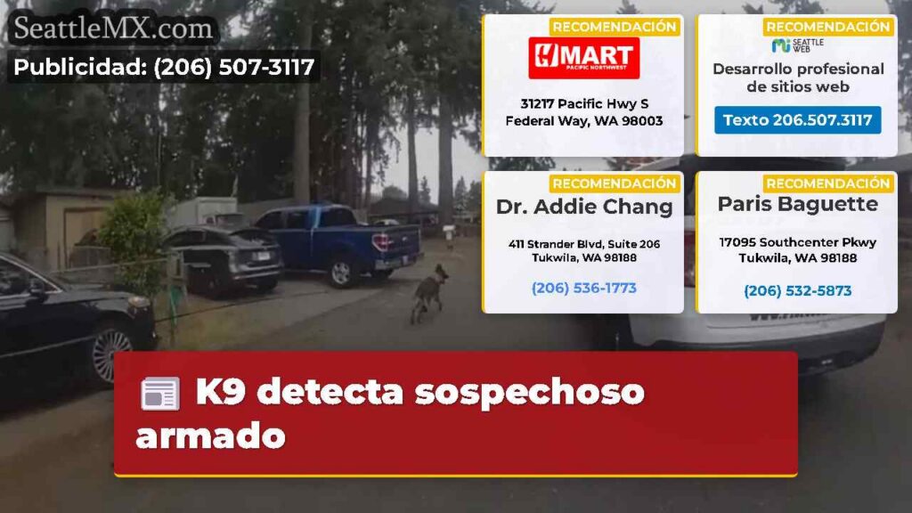 K9 detecta sospechoso armado