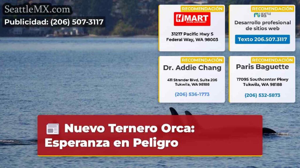 Nuevo Ternero Orca: Esperanza en Peligro
