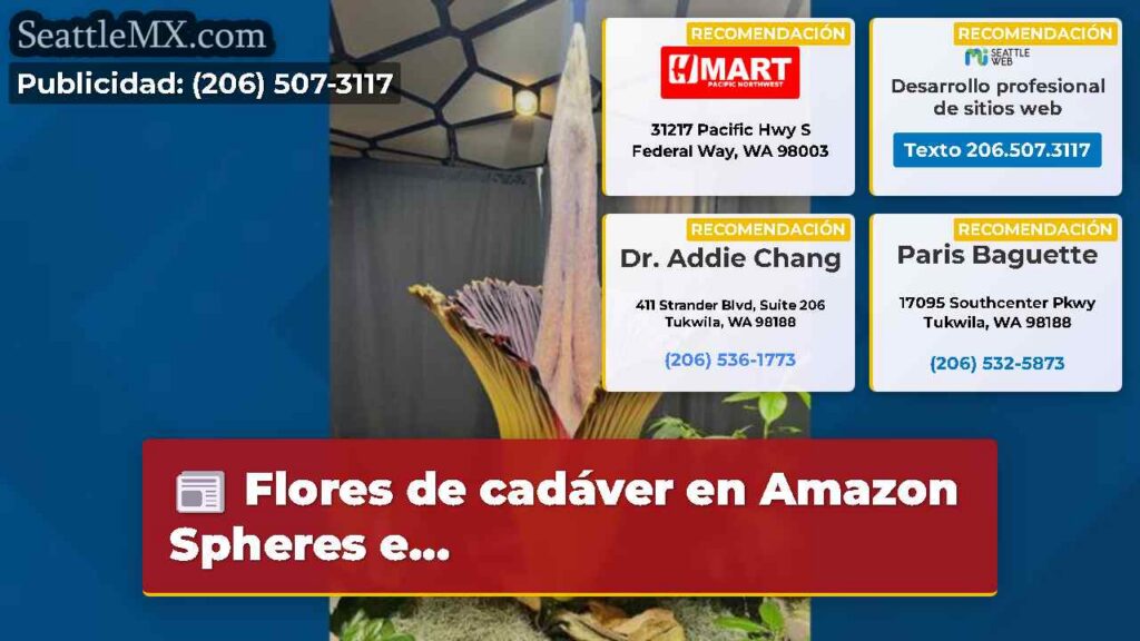 Noticias De Seattle 6 Flores de cadáver en Amazon Spheres e...