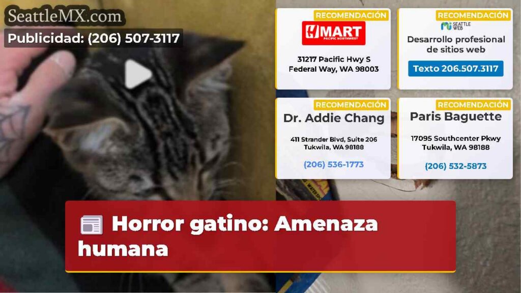 Horror gatino: Amenaza humana