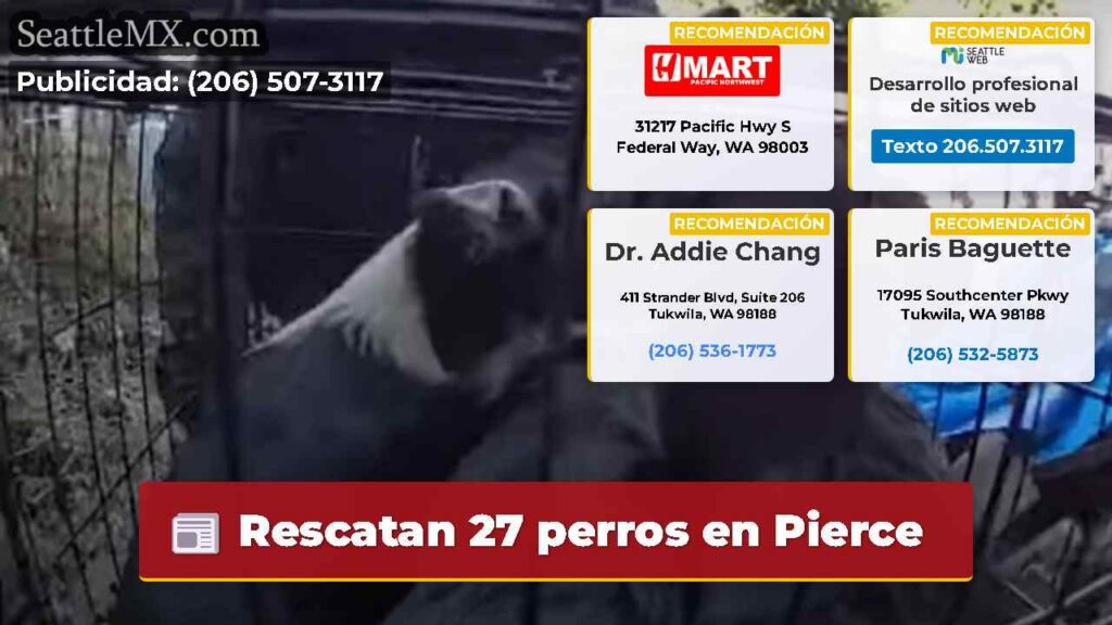 Rescatan 27 perros en Pierce