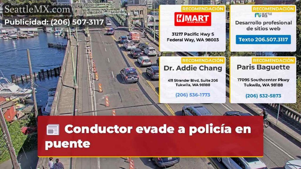 Conductor evade a policía en puente