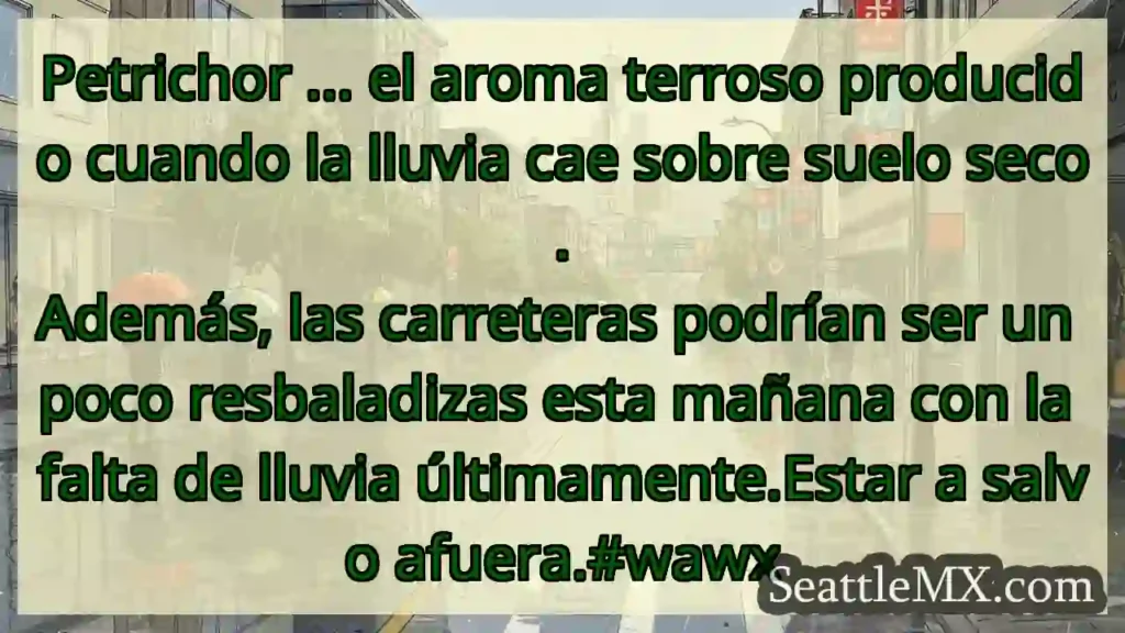 Petrichor ... el aroma terroso producido cuando