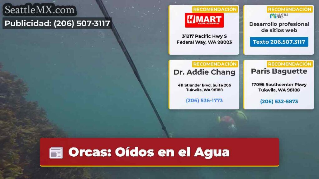 Orcas: Oídos en el Agua