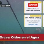 Orcas Oídos en el Agua