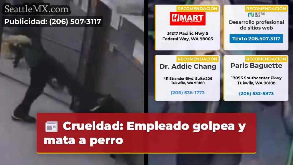 Noticias De Seattle 3 Crueldad: Empleado golpea y mata a perro