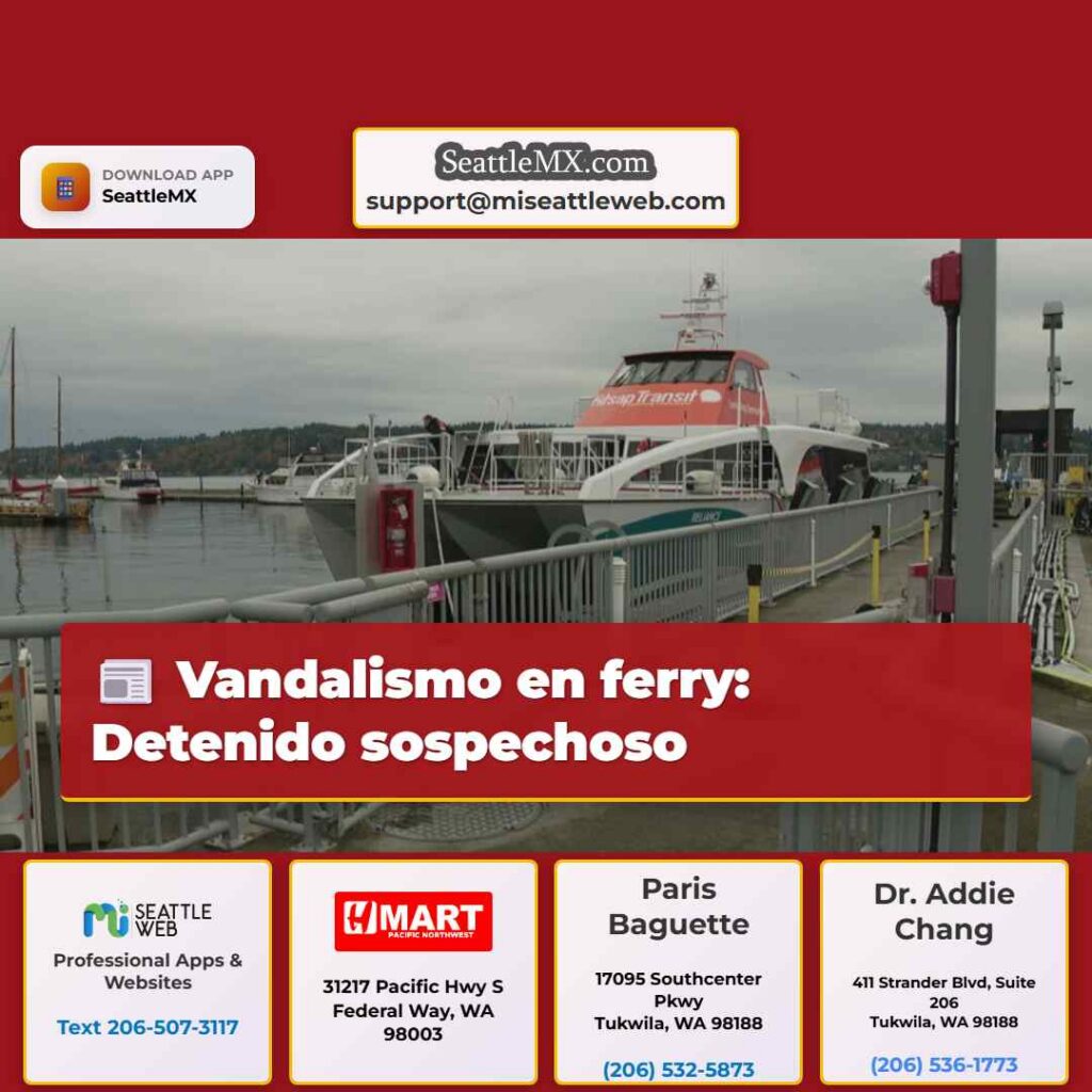 Vandalismo en ferry: Detenido sospechoso