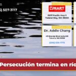 Persecución termina en río