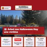 Árbol cae Halloween Hay una víctima