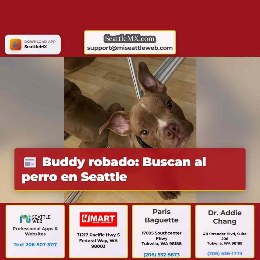 Buddy robado: Buscan al perro en Seattle