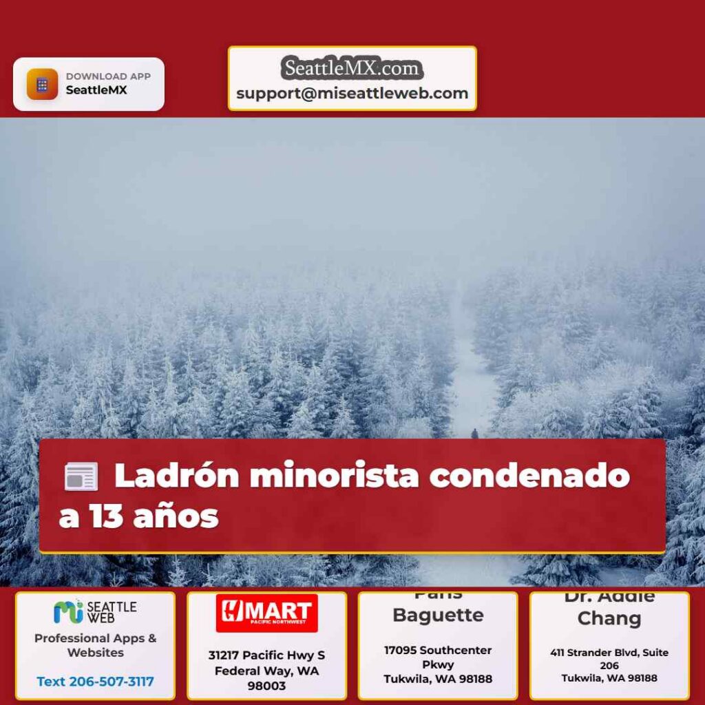 Ladrón minorista condenado a 13 años