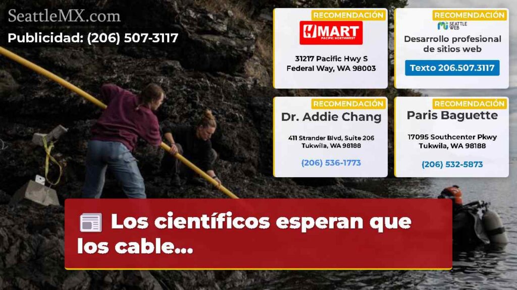 Los científicos esperan que los cable...
