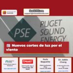Nuevos cortes de luz por el viento