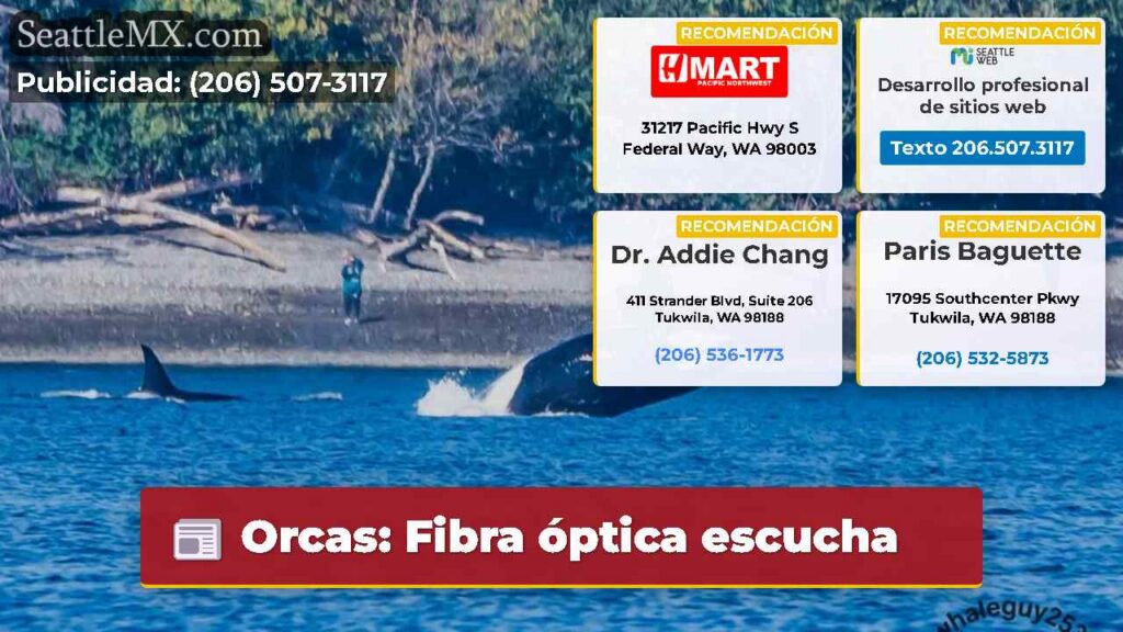Orcas: Fibra óptica escucha