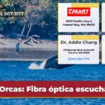Orcas Fibra óptica escucha
