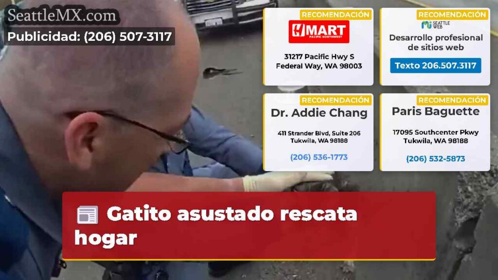 Gatito asustado rescata hogar