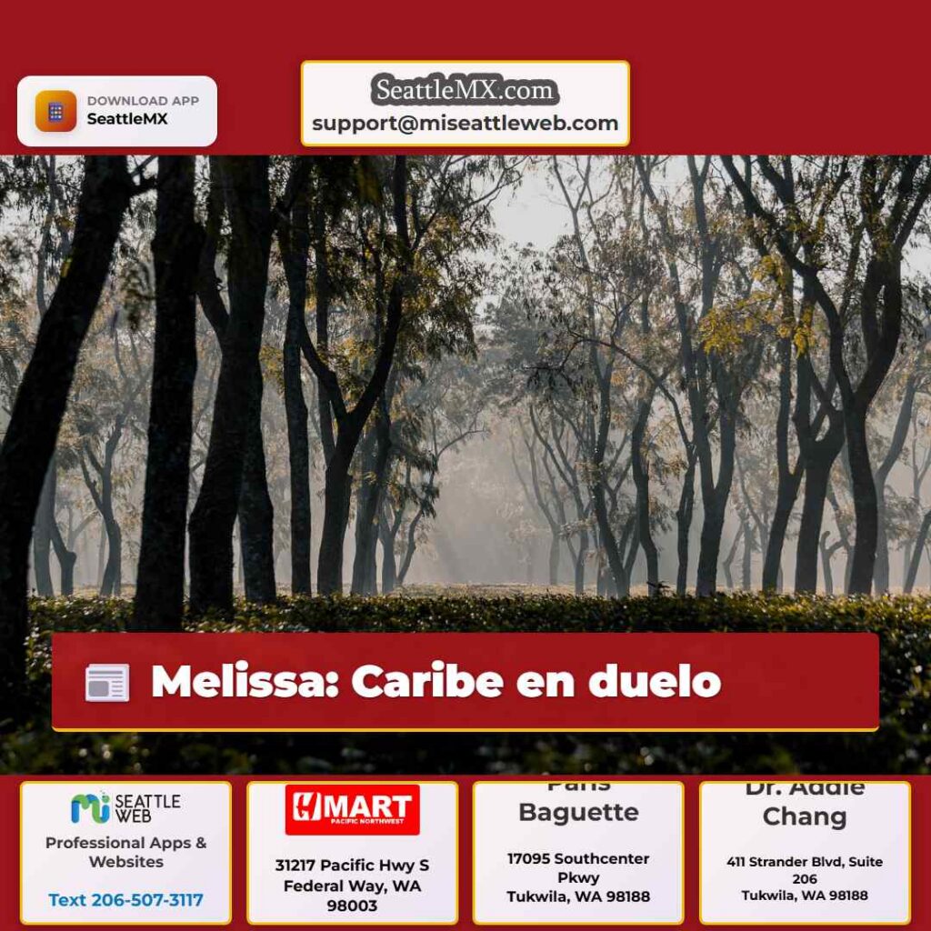 Melissa: Caribe en duelo