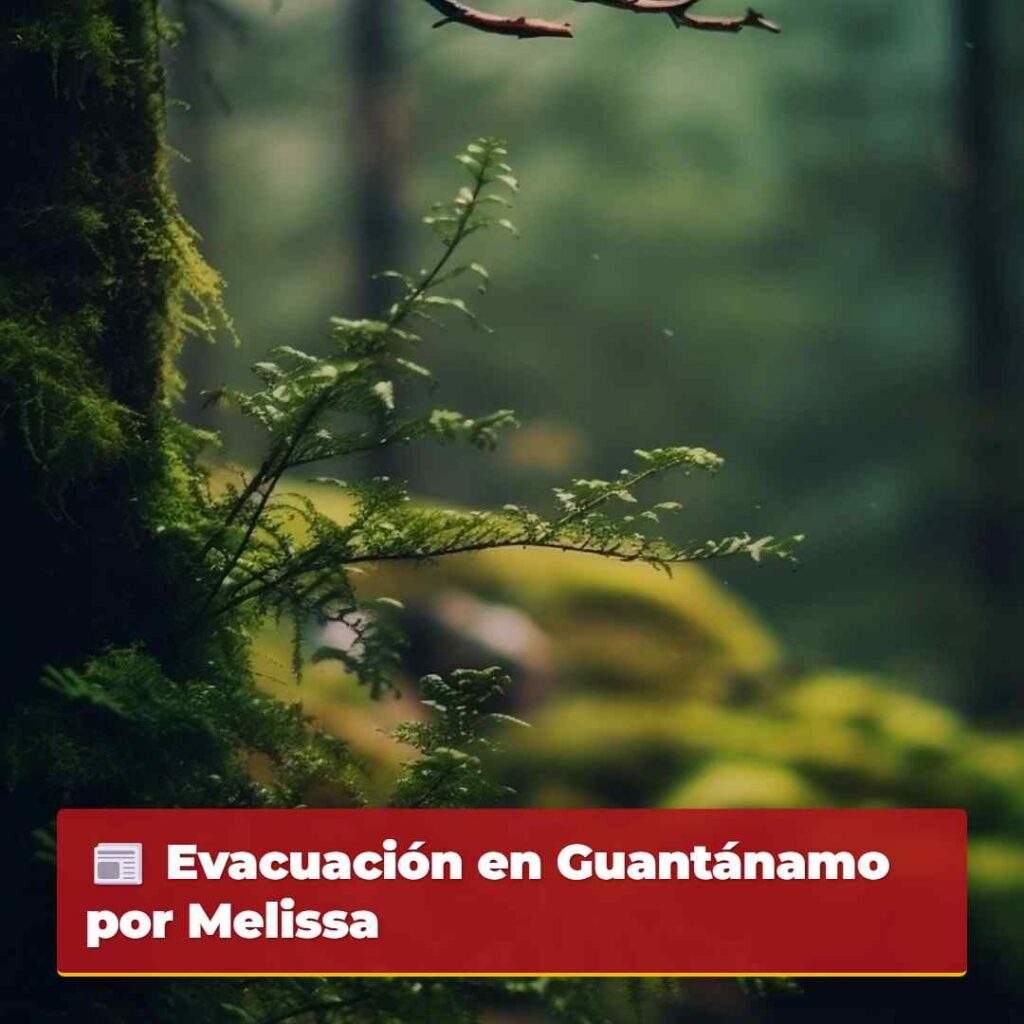 Evacuación en Guantánamo por Melissa