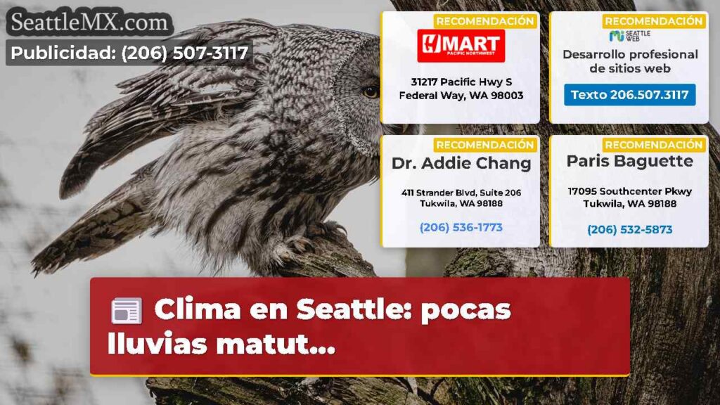 Home 8 Clima en Seattle: pocas lluvias matut...