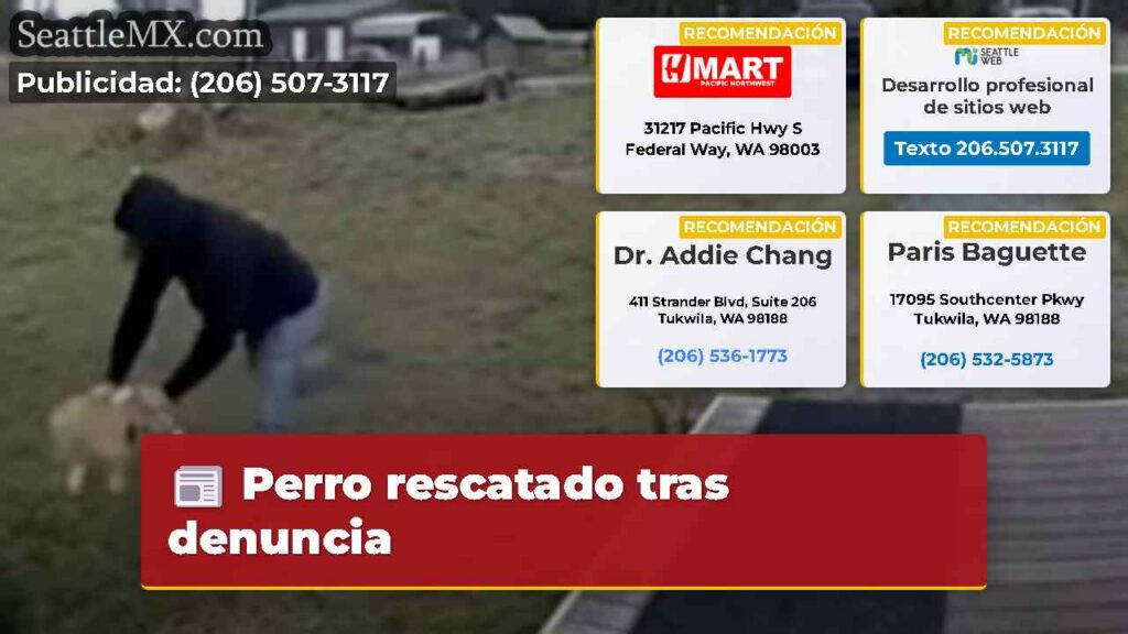 Perro rescatado tras denuncia