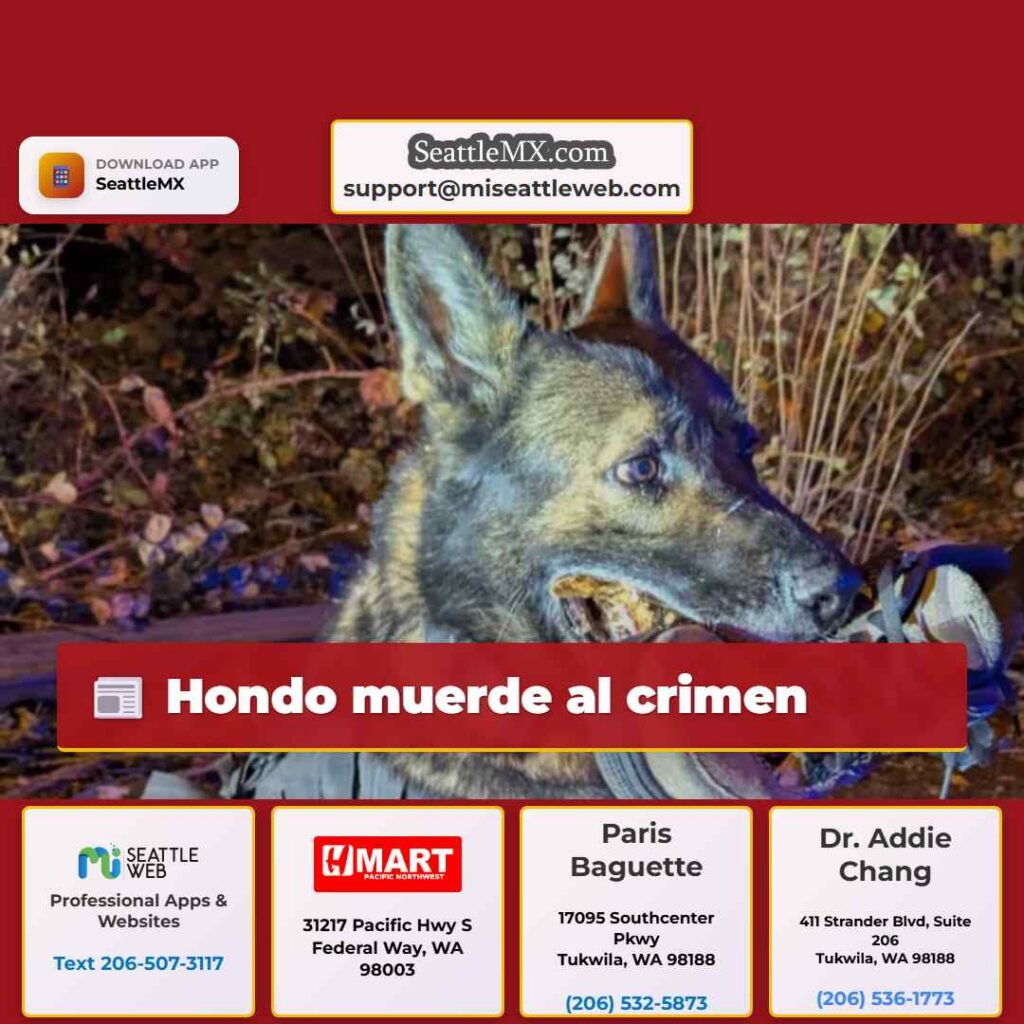Hondo muerde al crimen
